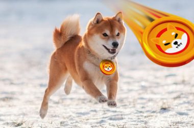 Shiba Inu (SHIB) Price Prediction for April 2023