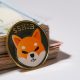 Shiba Inu: US Travel Firms Accepts SHIB for Payment