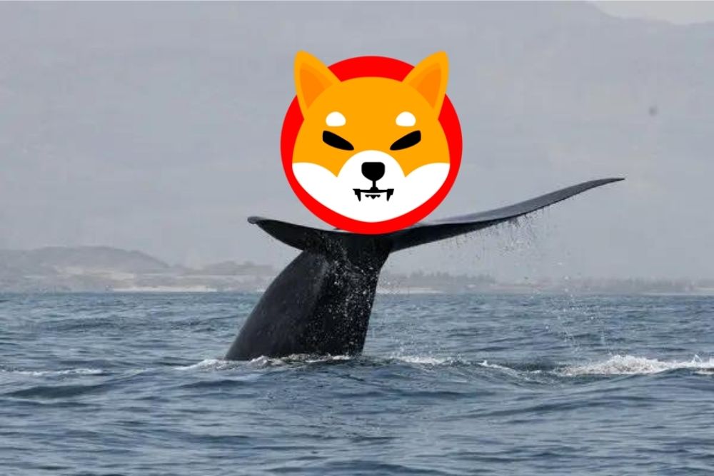 Shiba Inu Whale transactions are steadily on the rise, with transactions reaching over $61 million thanks to larger purchases.