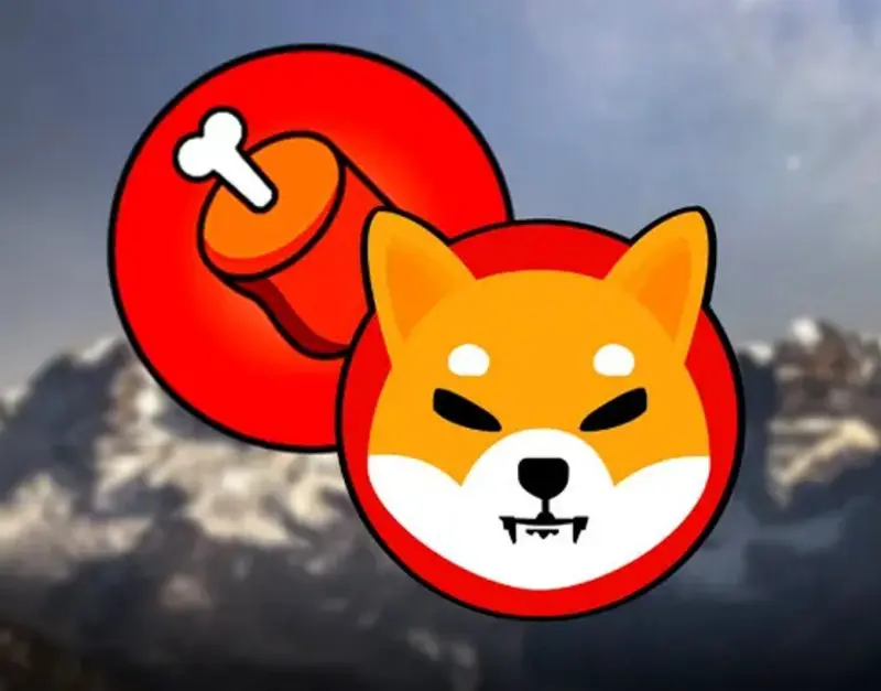Shiba Inu Bone