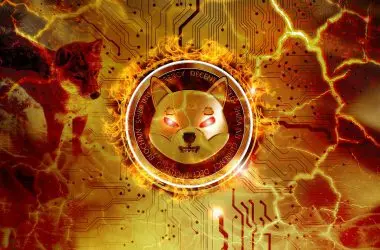 Shiba Inu’s Burn Rate Hits Zero - What Does This Mean for Future of SHIB Burn?