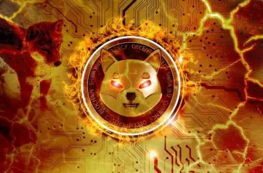 Shiba Inu Burn Rate Spikes by 27954.22%, 2.05 Billion SHIB Sent to Dead Wallets