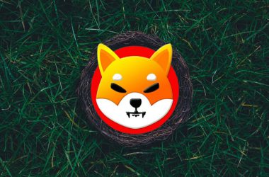 Shiba Inu Easter