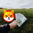 shiba inu cash money currency