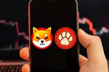 Shiba Inu PawZone PAW PawZaar Shibarium NFT Marketplace