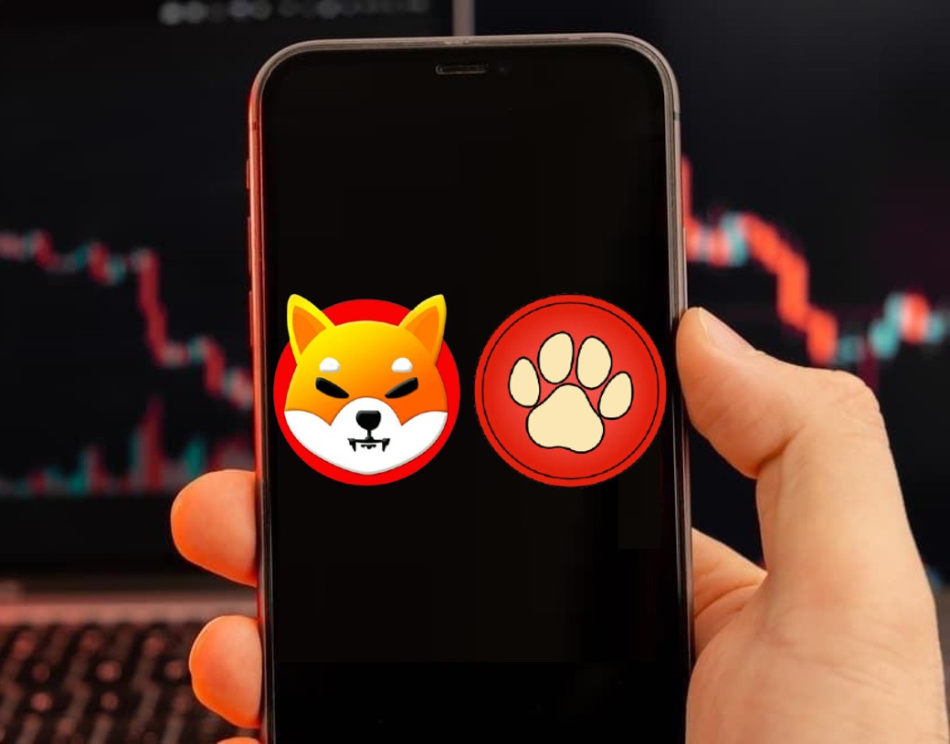 PawZone برنامه های NFT Marketplace را در شبکه Shibarium Shiba Inu اعلام می کند