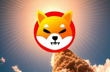 Shiba Inu Rocket