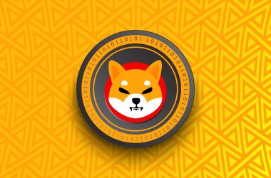 Shiba Inu: 65% of SHIB Holders Are in Loss