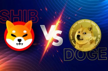 Shiba Inu Vs Dogecoin SHIB DOGE