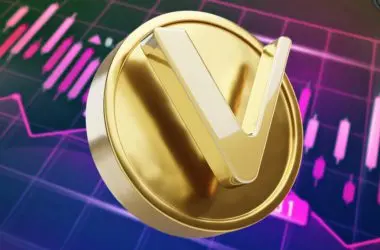 vechain vet