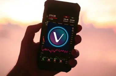 vechain vet