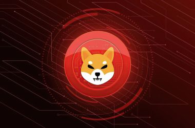 Shiba Inu Burn Rate Spikes by 240%, Price Remains Stable