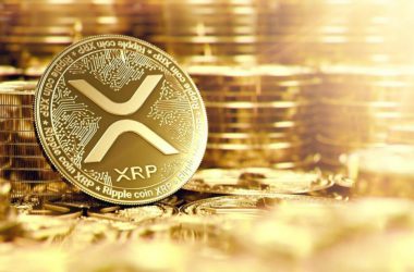 Ripple (XRP) Trades in the Green While Bitcoin, Ether Drop