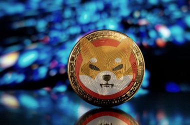 Shiba Inu Burn Rate Spikes by 1359% After Few Slow Days