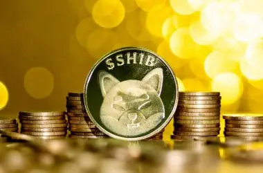 Shiba Inu (SHIB) Lead Dev Says He is Moving a Few Chess Pieces: Surprise Update?