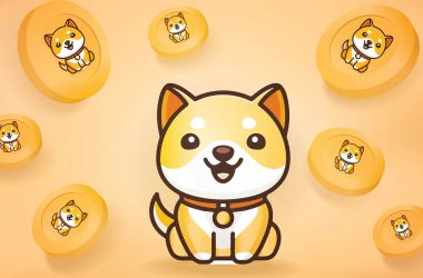 Baby Doge to Be Listed on a Top 5 Exchange, Price Reacts
