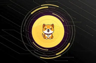 Baby Doge Faces Significant Exploit, Raises Concerns