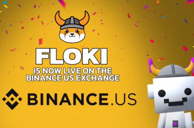 Floki Inu Gets Listed on Binance.US, Price Spikes by 50%