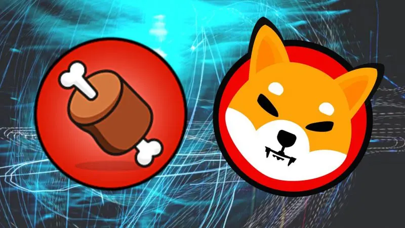 Shiba Inu: BONE and LEASH Witness Dramatic Price Increase