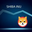Shiba Inu: 62% of SHIB Holders Are in Loss