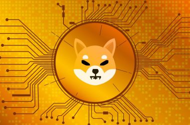 Shiba Inu Witness Largest Spike in Daily Active SHIB Addresses