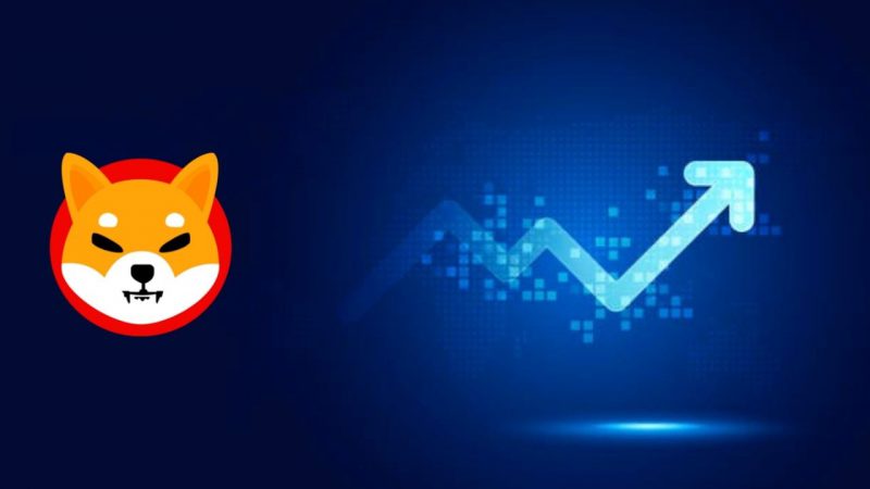Shiba Inu Burner Teases New Web3 Marketplace and Wallet for SHIB Enthusiasts