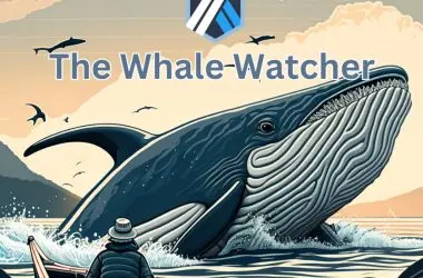 Arbitrum ARB Whale Watching