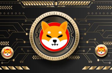 Shiba Inu Token Steps Up with Binance's Recent Move