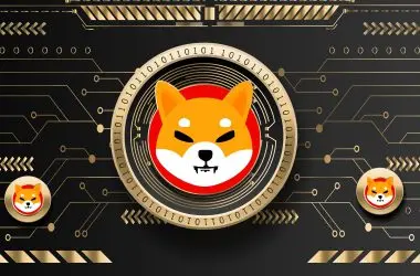 Shiba Inu Token Steps Up with Binance's Recent Move