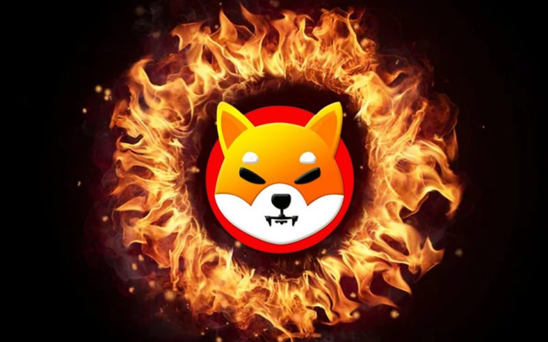 Shiba Inu Burns