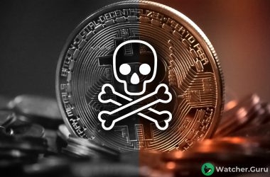 Is Crypto Dead?