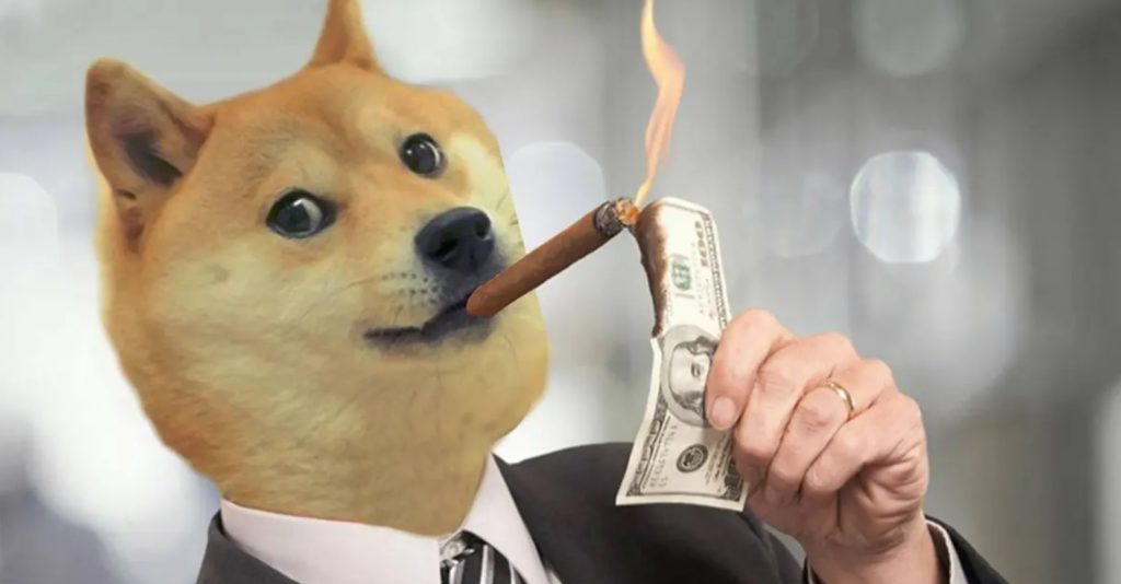 dogecoin burning usd dollar bills rich