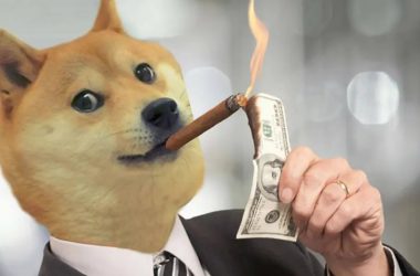 dogecoin burning usd dollar bills rich