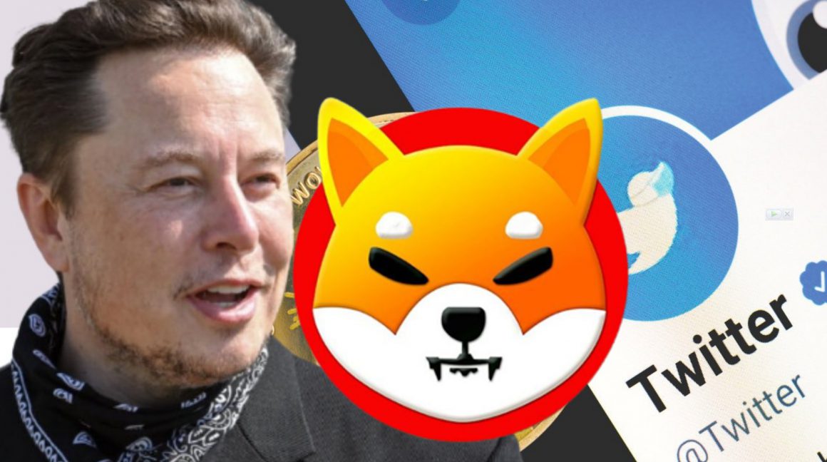 Shiba Inu: How Many SHIB Tokens Does Elon Musk Own?