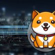 Baby Doge Unveils New Virtual Crypto Card for Global Users