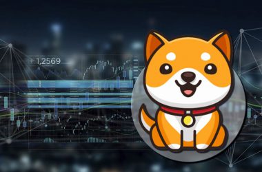 Baby Doge Unveils New Virtual Crypto Card for Global Users