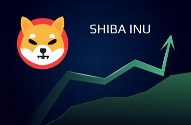 Shiba Inu: SHIB Burn Rate Takes a Nose Dive, Only 22 Million Burned Last Week