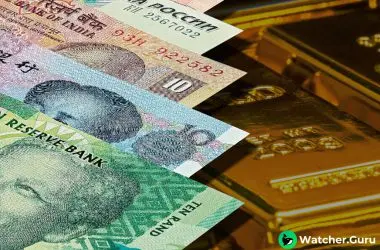 BRICS Currency: What is it Backed By?
