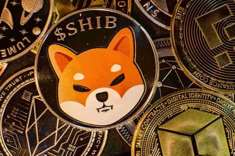 shib coin binance us