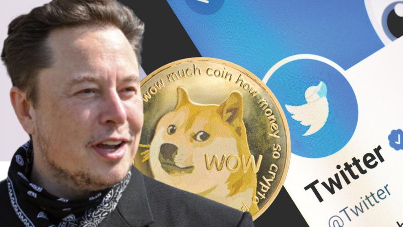 Elon Musk's Twitter Updates its Logo to Dogecoin, DOGE Price Spikes