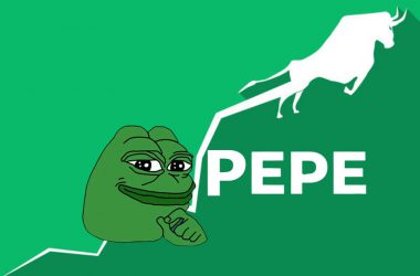 pepe coin bull run