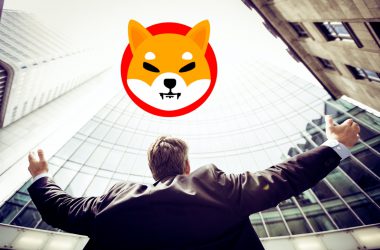 Shiba Inu