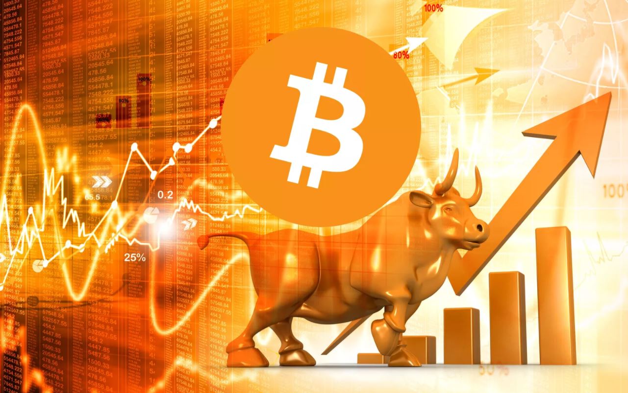62 Million Bitcoins Return To Profit A New Bull Cycle