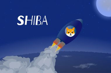 Shiba Inu: Could Shibarium Burn 500 Billion SHIB?