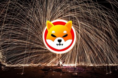 shiba inu burn