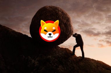shiba inu rock bottom tired