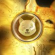 Shiba Inu vs. Dogecoin: Exploring the Possibility of a New Market Leader This Year