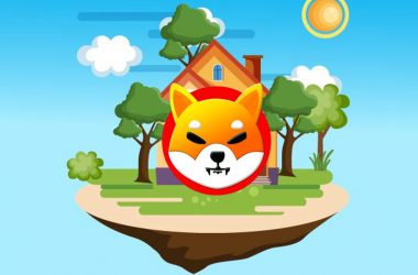 Shiba Inu Dream House $0.01 Jasmine Phillips
