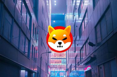 shiba inu