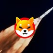 Shiba Inu Rocket Burn Moon